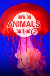 How Do Animals Do That? 2019