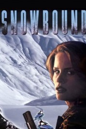 Snowbound 2001