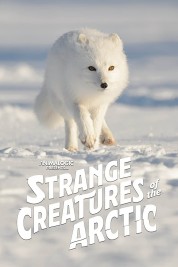Strange Creatures of the Arctic 2022