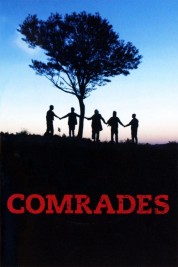 Comrades 1987