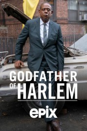 Godfather of Harlem 2019