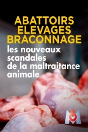 Abattoirs, élevages, braconnage, les nouveaux scandales de la maltraitance animale 2019