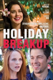 Holiday Breakup 2016