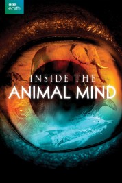 Inside the Animal Mind 2014