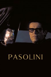 Pasolini 2014