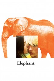 Elephant 2003