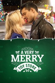A Very Merry Toy Store 2017