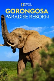 Gorongosa: Paradise Reborn 2022