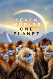Seven Worlds, One Planet 2019