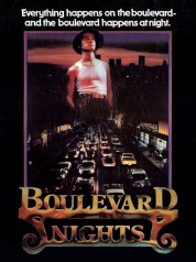 Boulevard Nights 1979