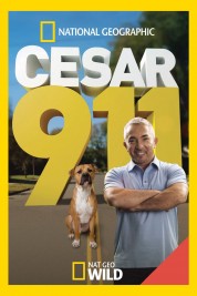 Cesar 911 2014