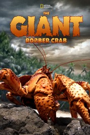 The Giant Robber Crab 2019