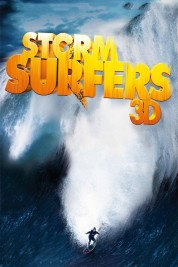 Storm Surfers 3D 2012