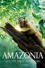 Amazonia 2013
