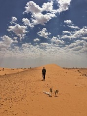 Sahara 2018