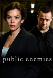 Public Enemies 2012