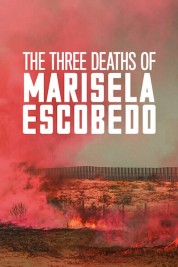 The Three Deaths of Marisela Escobedo 2020