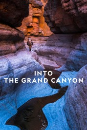 Into the Grand Canyon 2019