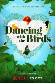 Dancing with the Birds 2019