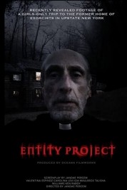 Entity Project 2019