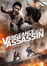 Vengeance of an Assassin 2014