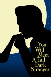 You Will Meet a Tall Dark Stranger 2010