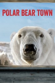Polar Bear Town 2015