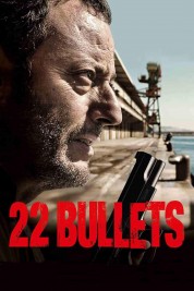 22 Bullets 2010