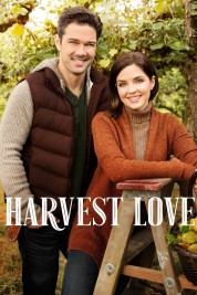 Harvest Love 2017