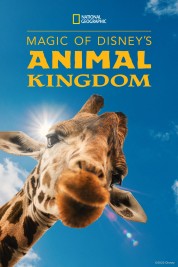Magic of Disney's Animal Kingdom 2020
