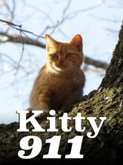 Kitty 911 2016