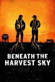 Beneath the Harvest Sky 2013