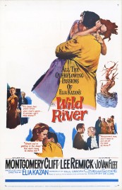Wild River 1960