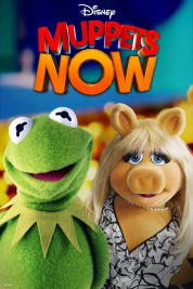 Muppets Now 2020