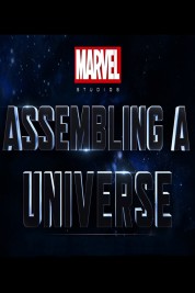 Marvel Studios: Assembling a Universe 2014