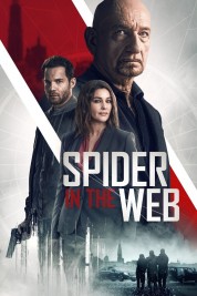 Spider in the Web 2019