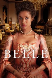 Belle 2013