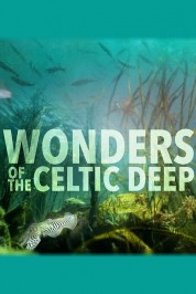 Wonders of the Celtic Deep 2021