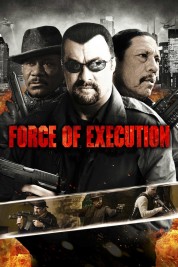 Force of Execution 2013