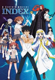 A Certain Magical Index 2008