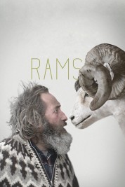 Rams 2015