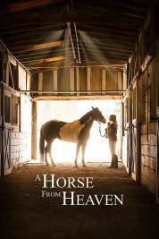 A Horse from Heaven 2018